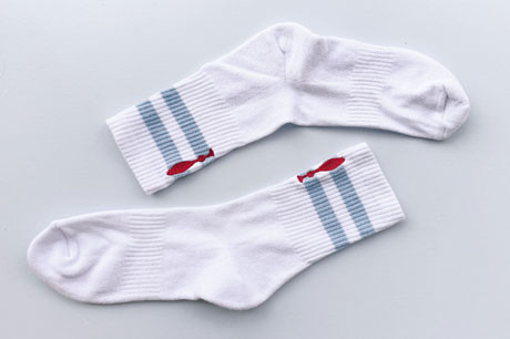 Embroidered Socks #02